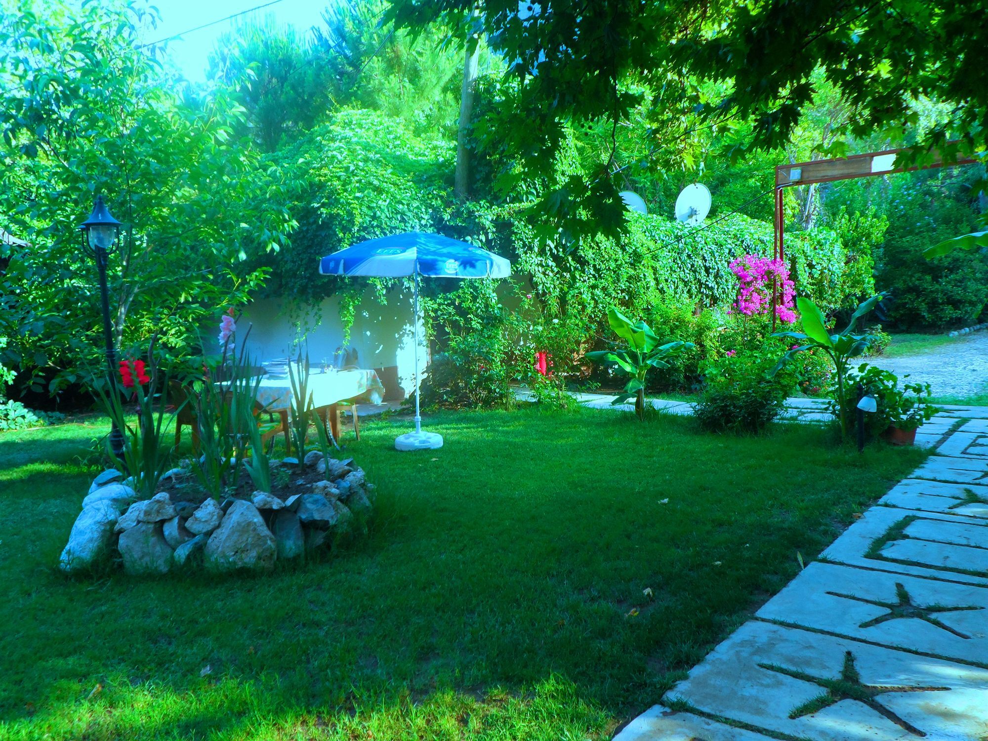 Çıralı Arya Holiday Houses מראה חיצוני תמונה