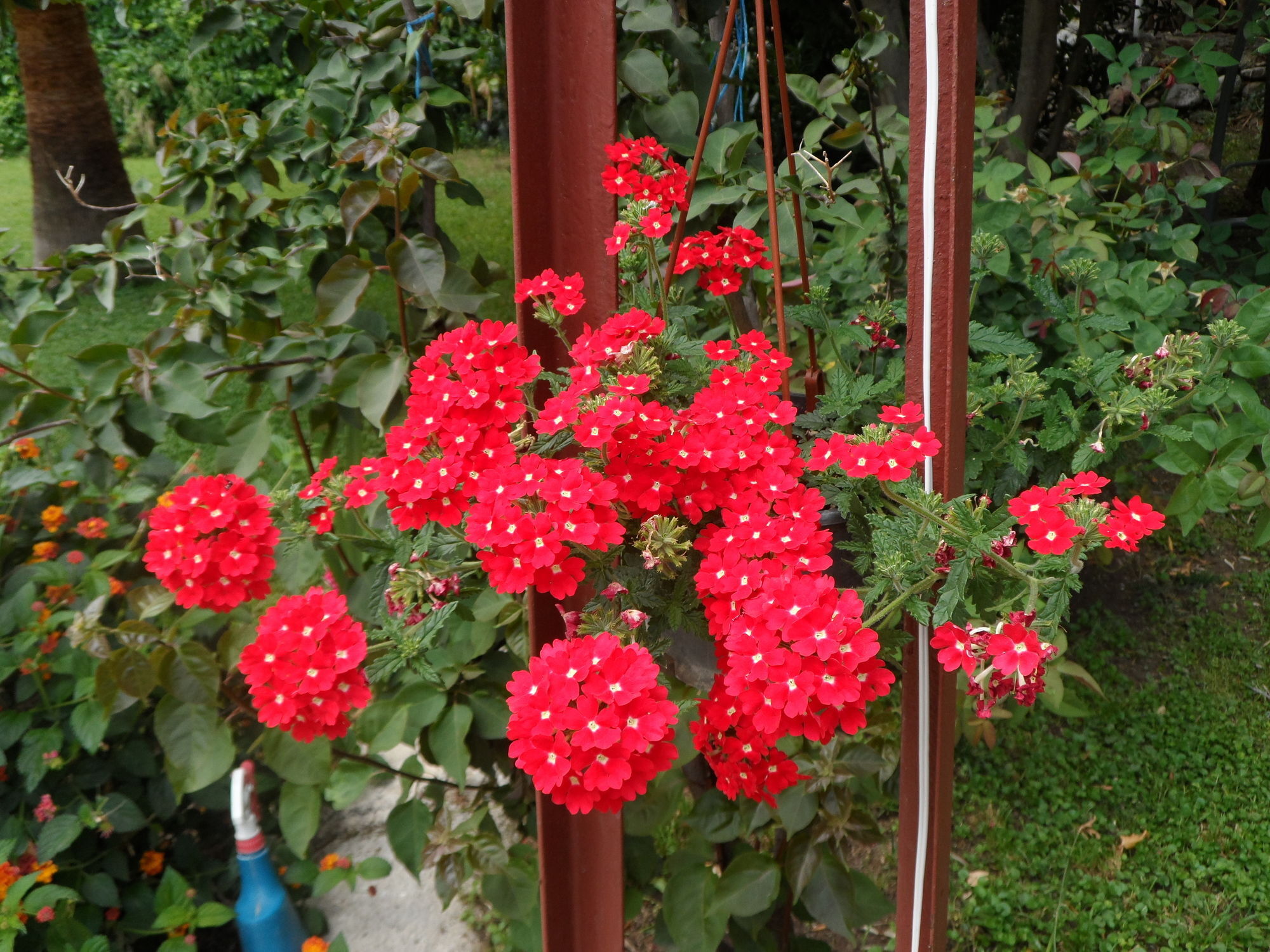 Çıralı Arya Holiday Houses מראה חיצוני תמונה