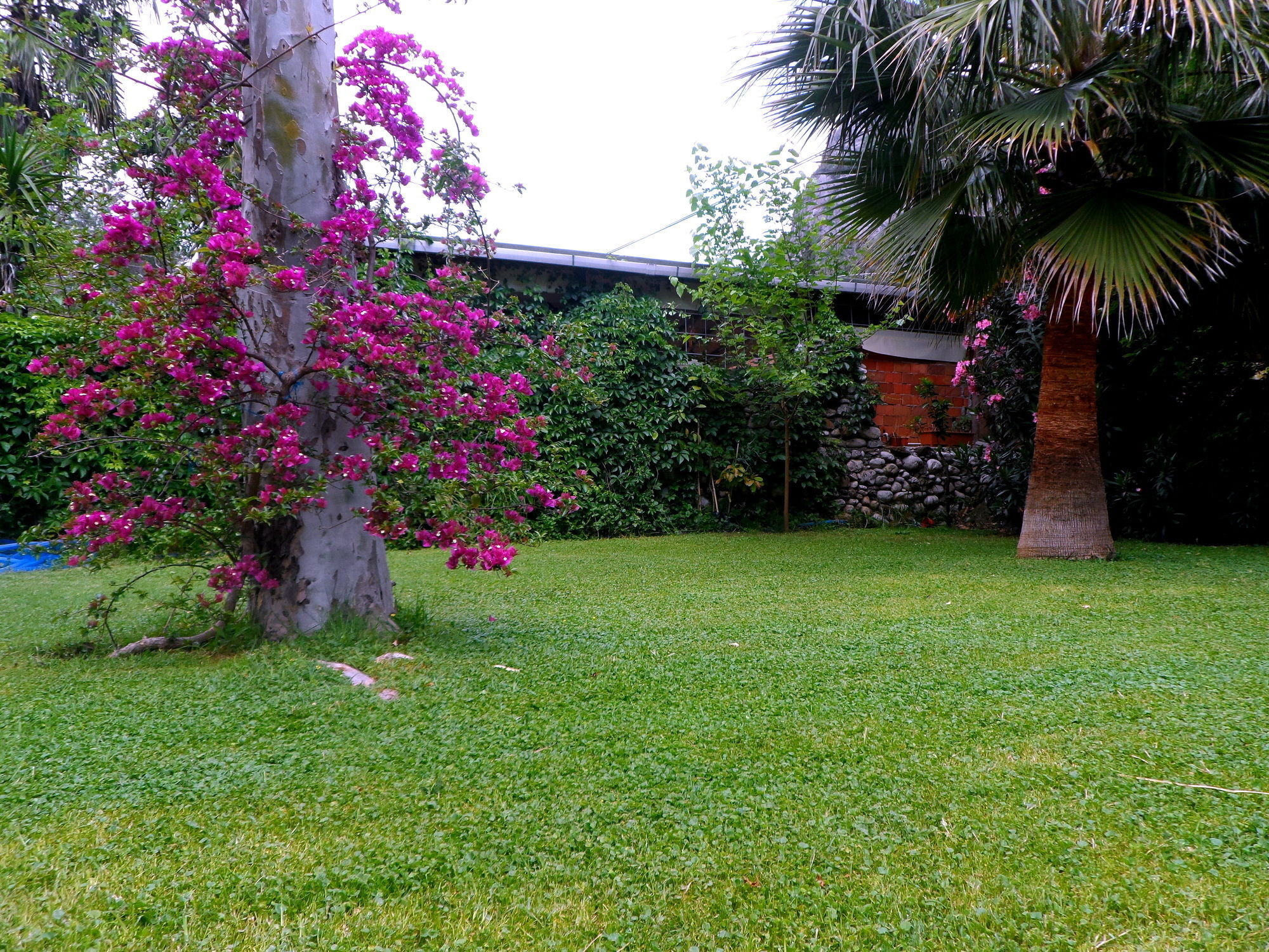 Çıralı Arya Holiday Houses מראה חיצוני תמונה