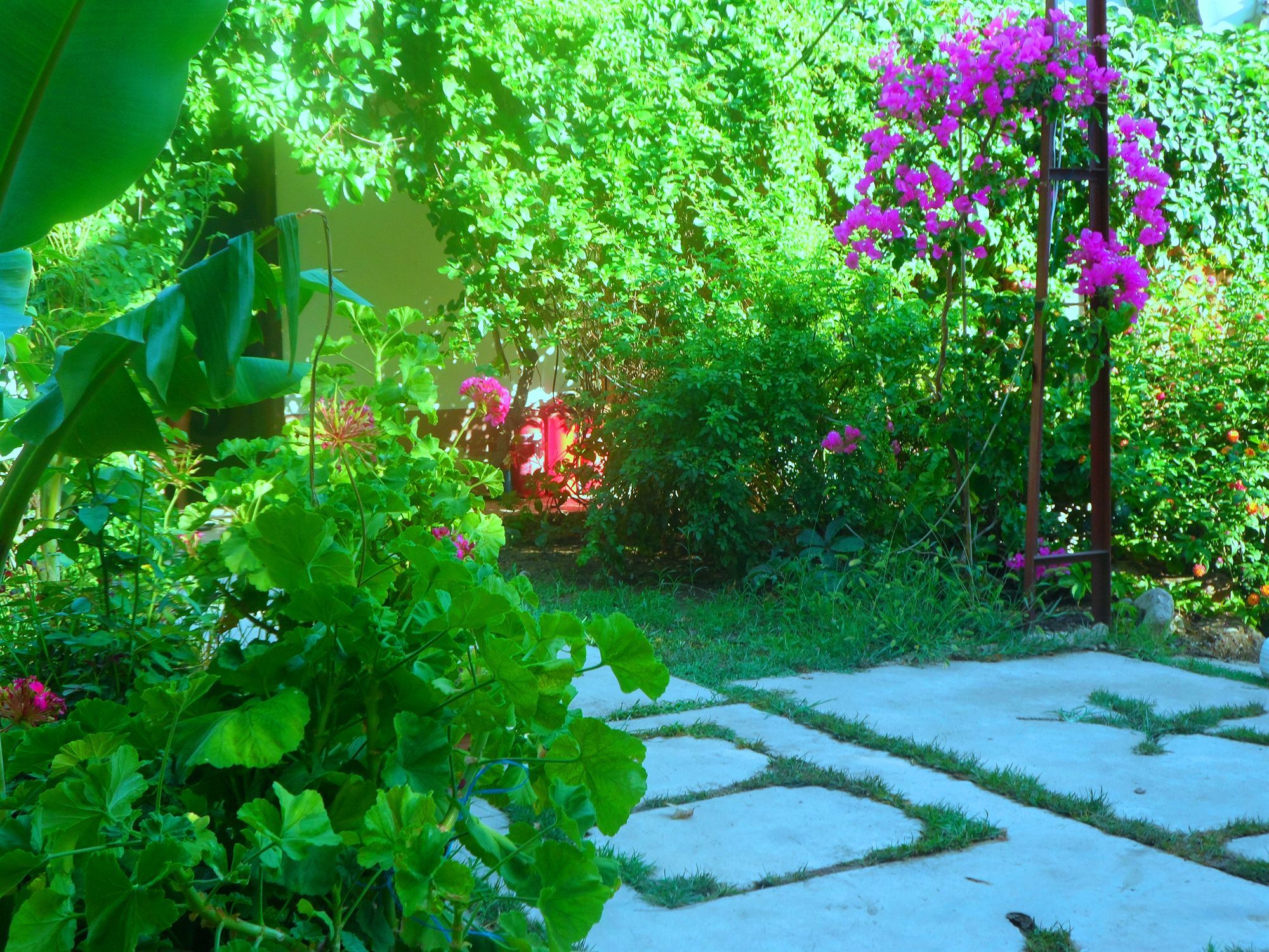 Çıralı Arya Holiday Houses מראה חיצוני תמונה