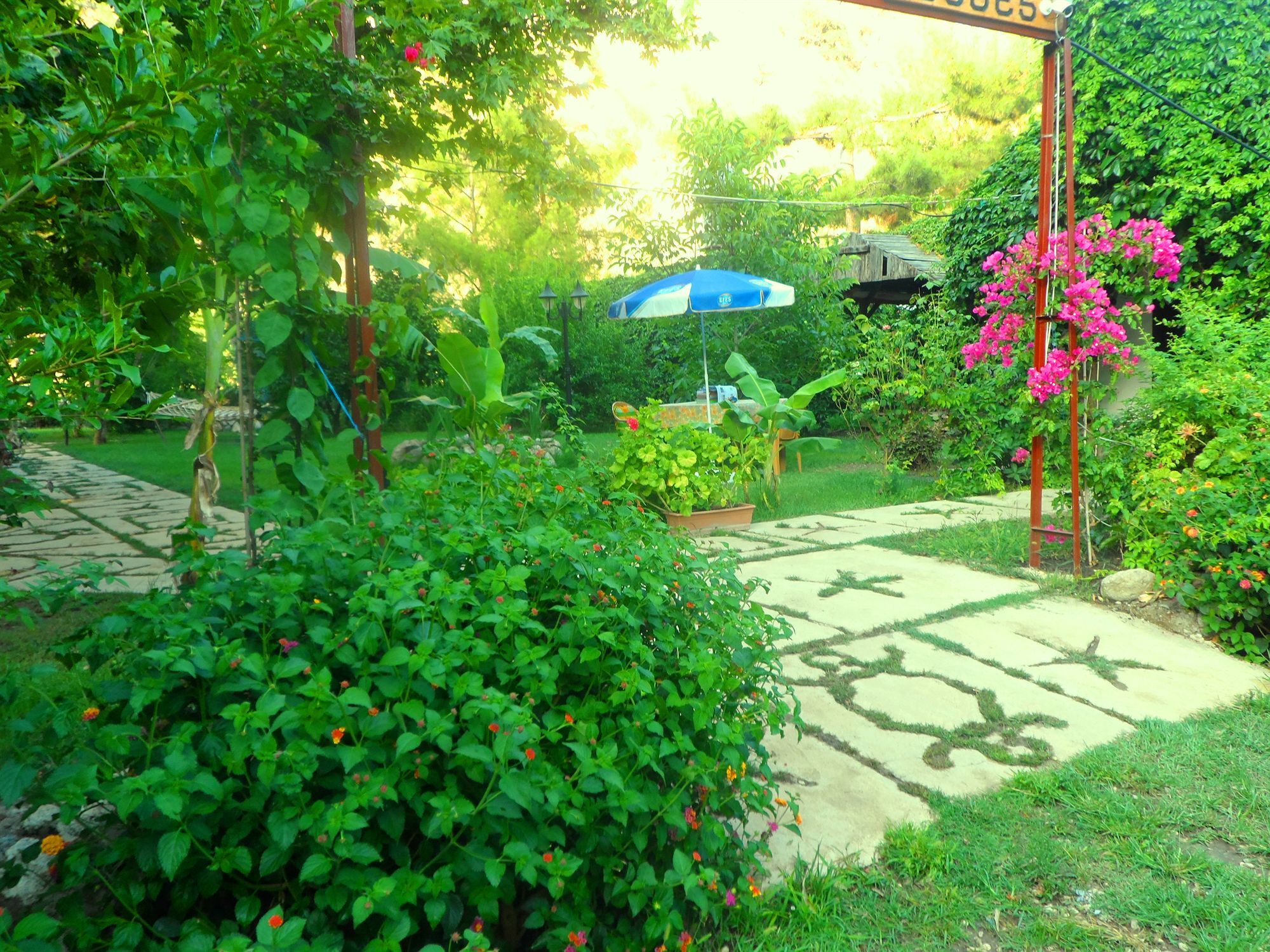 Çıralı Arya Holiday Houses מראה חיצוני תמונה